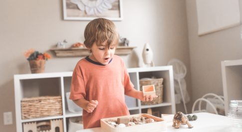 A child playing with blocks in a toy room